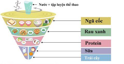 Sống lâu với con quay dinh dưỡng của người Nhật